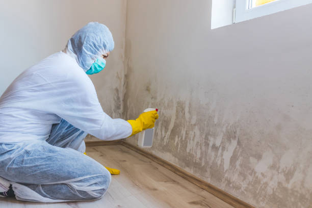 Asbestos and Lead Testing During Mold Inspection in Kellyville, OK