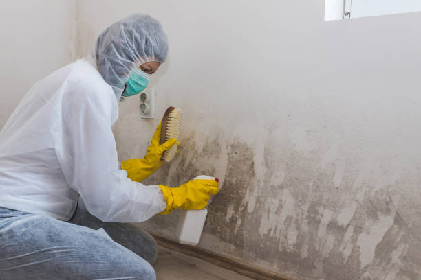 Dehumidification Services in Kellyville, OK